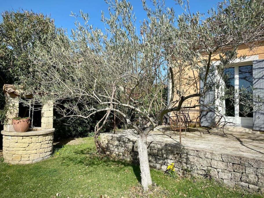 Belle Maison Provencale Au Pied Du Mont Ventoux Caromb Exterior foto